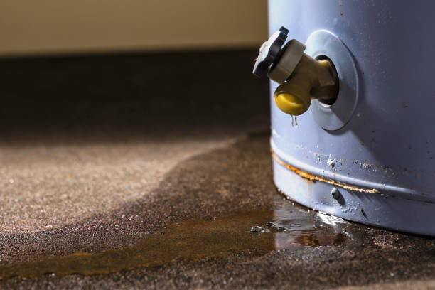 Best Flood damage cleanup  in Bakersfield, CA