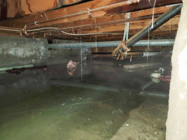 Best Ceiling water damage repair  in Bakersfield, CA