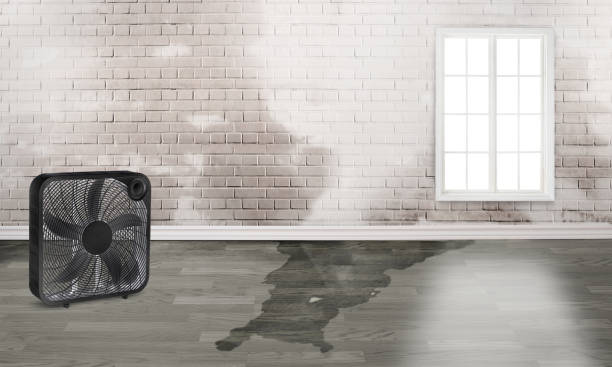 Best Water damage contractors near me  in Bakersfield, CA