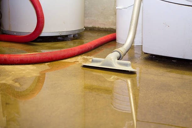 Best Local water damage restoration  in Bakersfield, CA